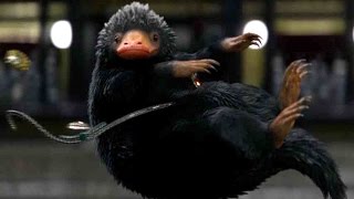 超絶可愛い魔法動物二フラーに会える！／映画『ファンタスティック  