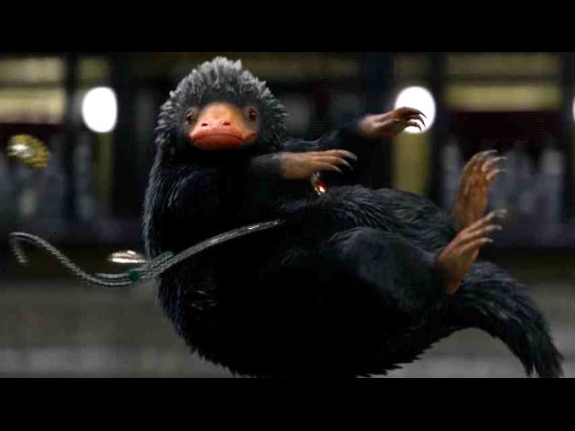 Meet the super cute magical creature Niffler! / Special video