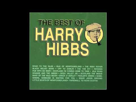 Harry Hibbs - The Irish Rover