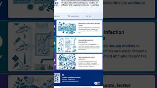 Flu & Bacteria: Unveiling the Immune System's Secret Battle | ANRF PRISM