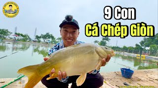 Câu Cá Chép Giòn Cuốn Ổ 9 Con ở Hồ Câu Nam Hồng