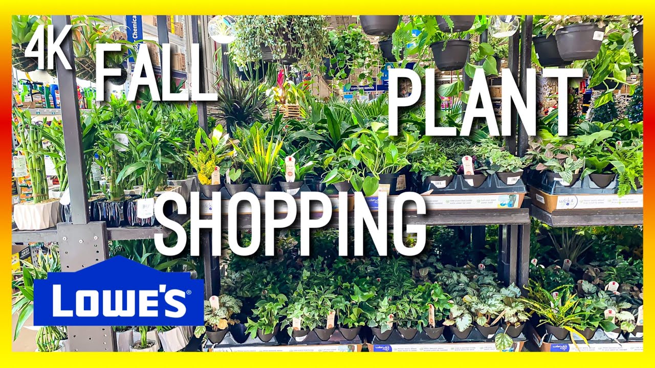 LOWES HOUSEPLANT SHOPPING BIG BOX STORE FALL EDITION INDOOR NURSERY