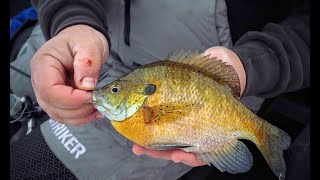 Tough Bite Panfish Tips (Finicky Bluegill Advice)
