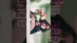 this flower always make my day better#shorts #viral