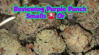 Reviewing Purple Punch Smalls ⛽️ Or Trash