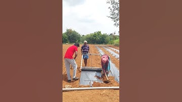 🔥Mulching sheet innovative idea!👏🏻👌🏻#agriculture #farming #mulching #short