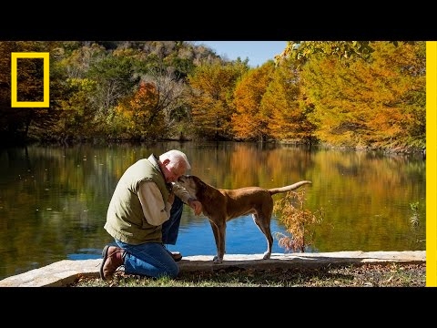 Video: Water Coming Out Of Stone In Australia - Alternative View