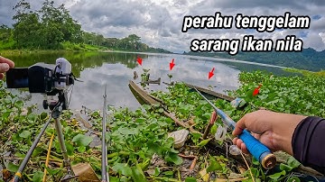 SAYA MANCING IKAN NILA DI DEKAT PERAHU TENGGELAM IKANNYA BANYAK SEKALI || mancing ngantang