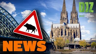 Jägerprüfung statt Bundestagssitzung, Amoklauf in Heidelberg u.w. - DJZ NEWS 4/2022