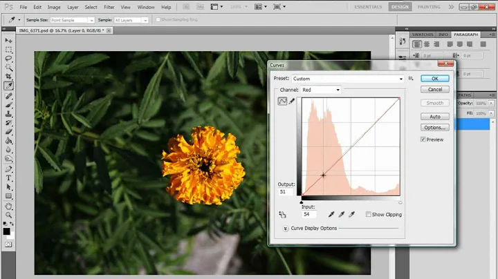 Photoshop CS5/6 Basics of Photo Editing