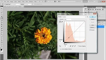 Photoshop CS5/6 Basics of Photo Editing