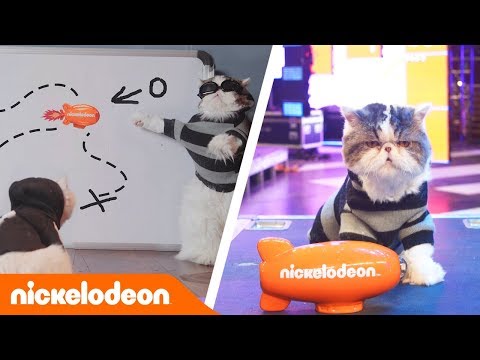 KCA | Geheimagenten | Nickelodeon Deutschland - Eine Gruppe von haarigen Super-Geheimagenten schließen sich zusammen, um diese Mission zu erfüllen: Gewinne einen KCA-Blimp.