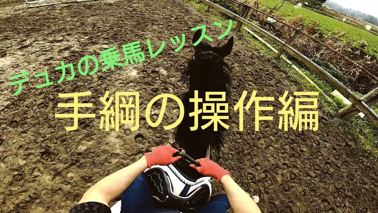 【乗馬】手綱の使い方紹介