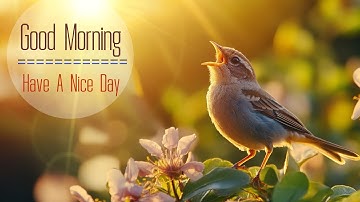 POWERFUL MORNING MUSIC - Positive Feelings and Energy - Morning Meditation & Gentle Wake Up Music