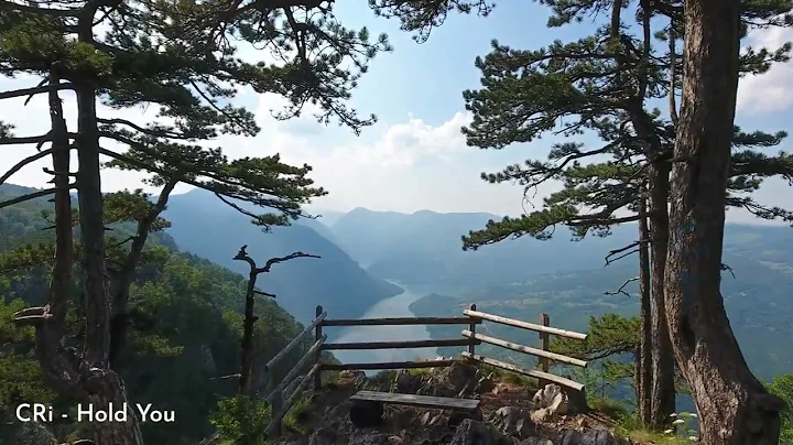 Yarles 2024 Year Mix