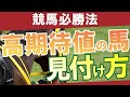 【競馬必勝法】儲かる高期待値の馬の見つけ方【投資競馬】