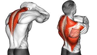 Posture Exercise to Straighten Your Back