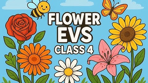 Flower EVS for Class 4