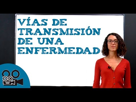 Vídeo: Impacto Indirecto De Eventos Violentos En La Utilización Del Departamento De Emergencias Y Patrones De Enfermedades