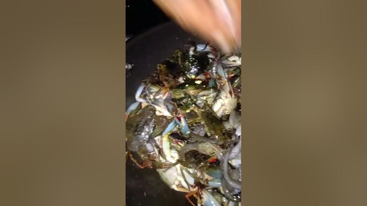 how to cook mud crabs 💕 catchandcook seafoods ytviral YouTube