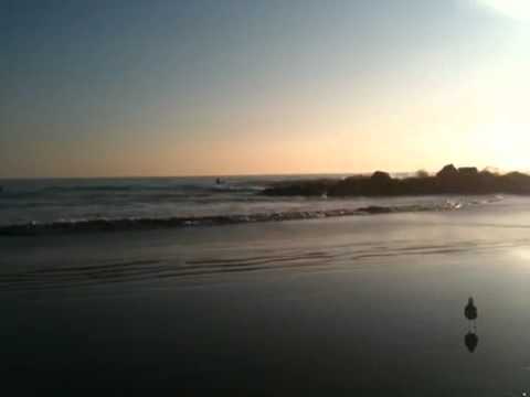 Venice Rocks - YouTube