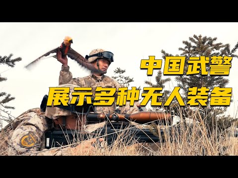 中国武術　錘　　防犯 伝統的な中国の武術カンフーダブルハンマーダマスカス鋼の