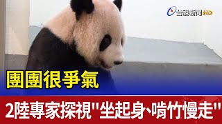 團團很爭氣 2陸專家探視坐起身、啃竹慢走