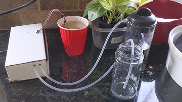 Plant Auto Watering System Prototype 2