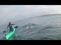 Spearfishing Baja with Killer Whales! Orcas!