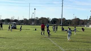 IMG 7373