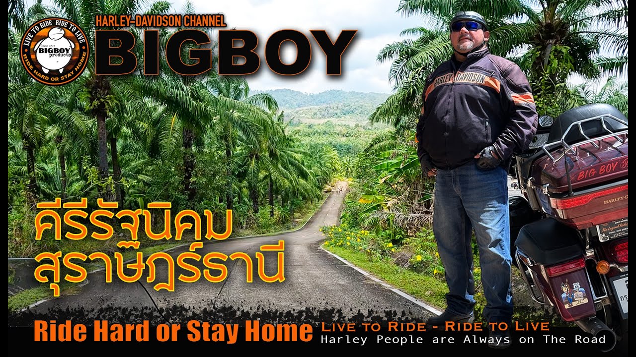 บุกป่ายางฝ่าดงสวนปาล์มบนเขาที่ศีรีรัฐนิคมสุราษฎร์ธานี : Harley-Davidson Trip