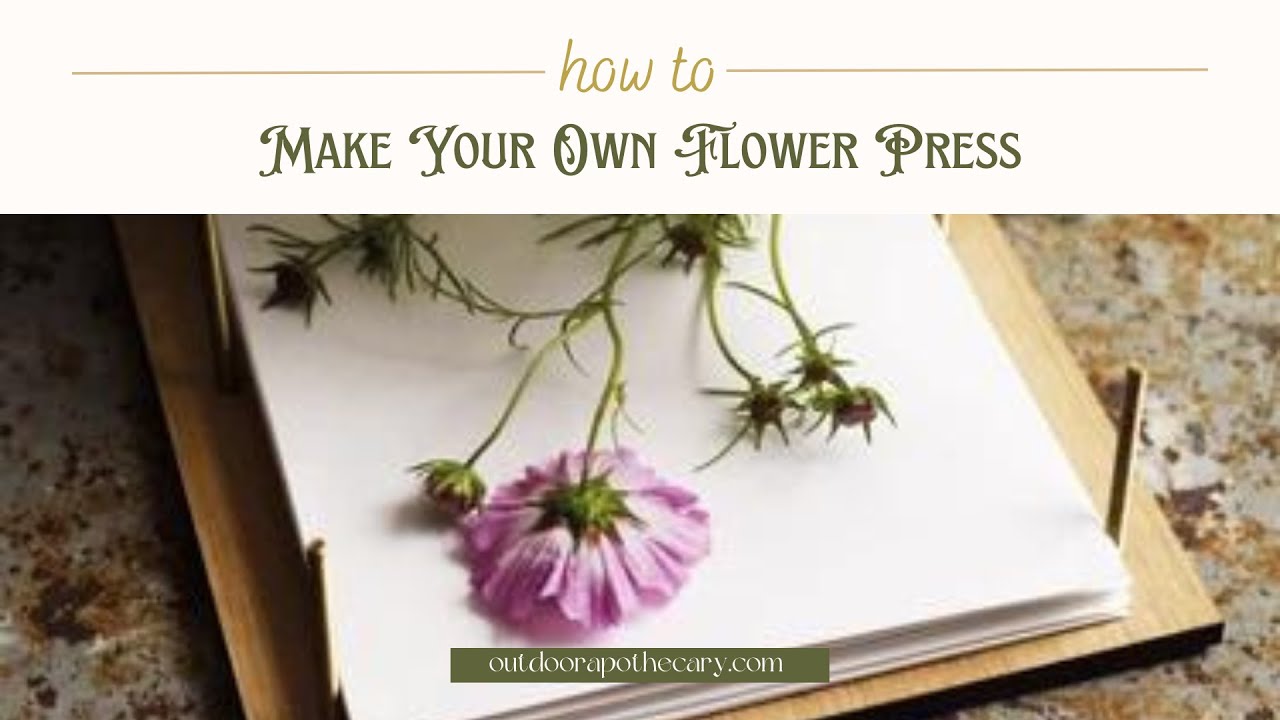 How to Make a DIY Flower Press - Woodlark Blog