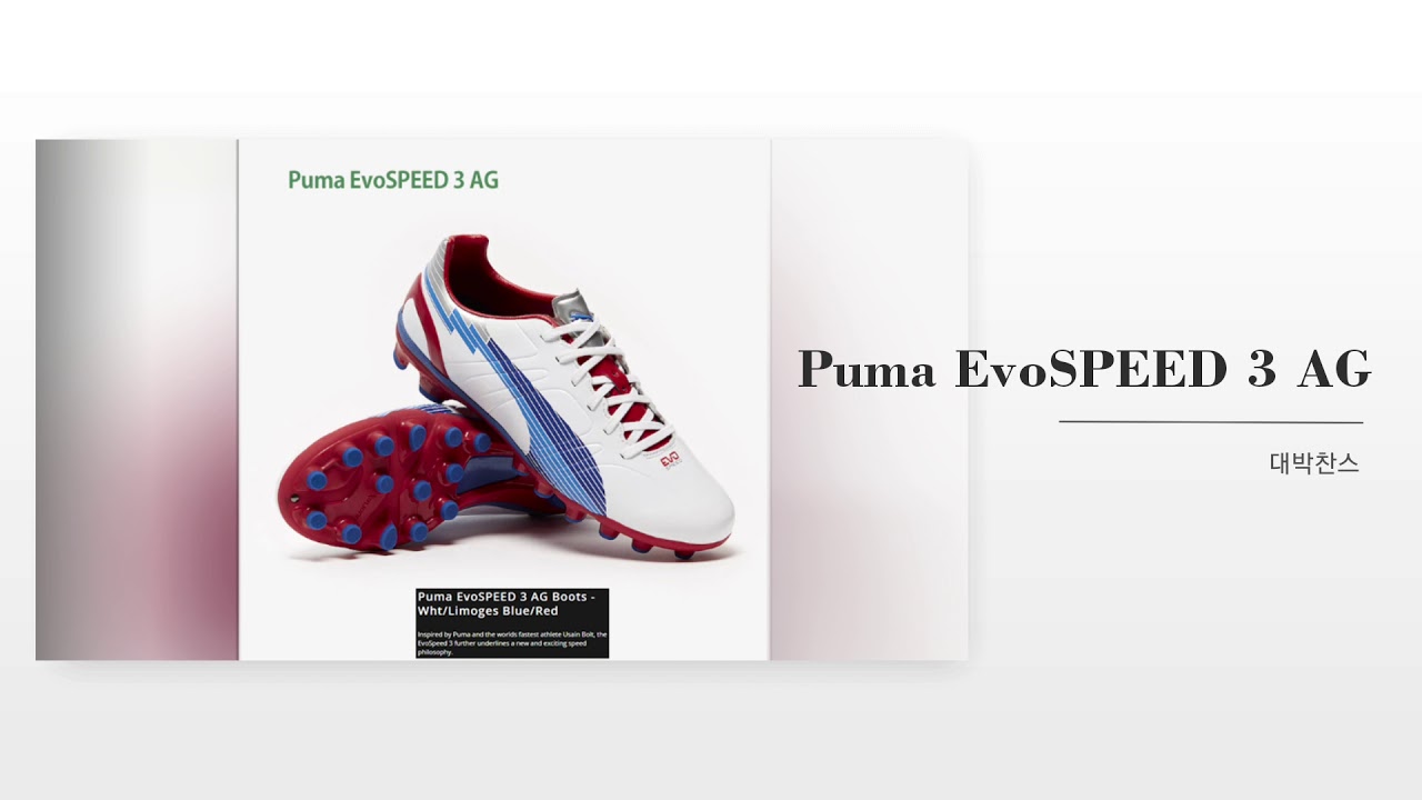 puma evospeed ag