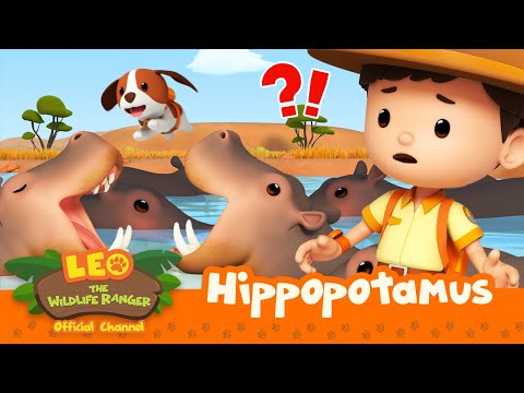 The HIPPOS are