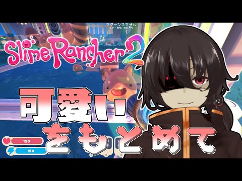 【 Slime Rancher 2 】かわいいスライムたちをお引越し！【 Vtuber / 黒ノ丸 】