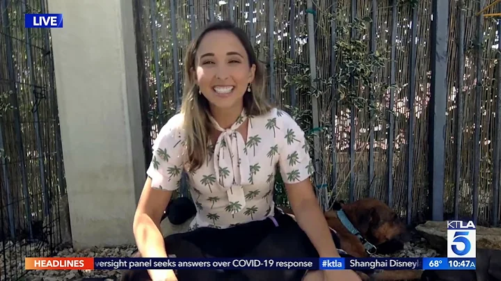 Paul Shaffers daughter Victoria Shaffer fostering ...