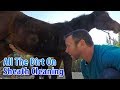 All The Dirt on Sheath Cleaning