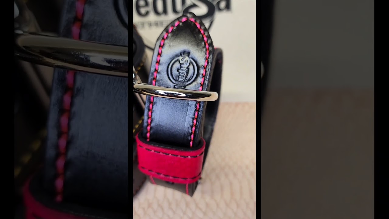 Windows to style. These handcrafted leather collars don’t just lead—they shine. 