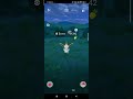 SHINY EEVEE WITH PARTY HAT