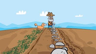 Bible Stories For Toddlers The Parable Of The Farmer And The Seeds