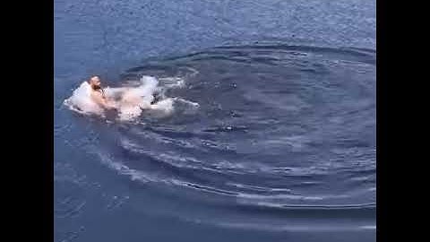 Guy gets bit by snapping turtle