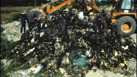 Geosynthetics for Soil Reinforcement - 2001 Buchanan Lecture by Robert D. Holtz