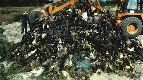 Geosynthetics for Soil Reinforcement - 2001 Buchan...