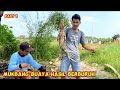 Mukbang buaya hasil berburuh di sawah bersama anjing pemburuh