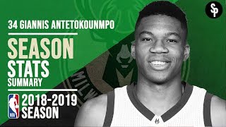 Giannis Antetokounmpo Season Stats | 2018-2019 NBA Season + Highlights