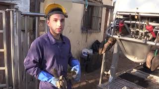 Ganaderos en su hábitat | Herrador arregla pezuñas | 8.11.2025