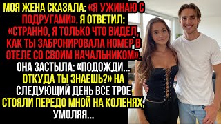 картинка: Моя жена сказала: «Я ужинаю с подругами». Я ответил: «Странно, я только что видел, как ты...
