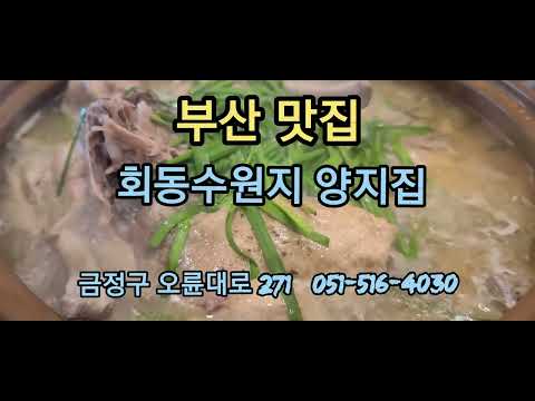 양지집