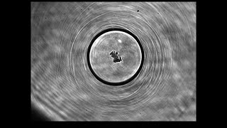 Neutron Cavitation Fusion Reactors Impulse Devices Inc