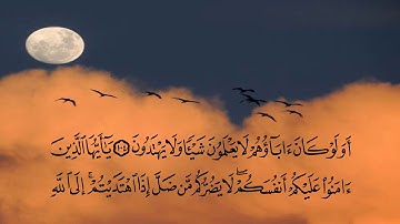 تلاوة من سورة المائدة من الآية ٨٢ الي الآية  ١٢٠ بصوت ماهر المعيقلي مصحوبة بالنص القرأني